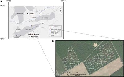 The Impact of Variable Retention Harvesting on Growth and Carbon Sequestration of a Red Pine (Pinus resinosa Ait.) Plantation Forest in Southern Ontario, Canada